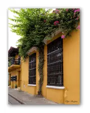 Ready2HangArt Indoor/Outdoor Wall Decor Provincial V in ArtPlexi Wall Art by Olga Burgos