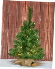 Small Christmas Tree 2ft Prelit Battery Operated Timer Lighted Green Prelit