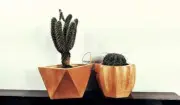 Set of Wooden Planters, Indoor Planters Cacti Small Planter, Geometrical planter