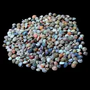 Tiny Swirl Conch Shells For Crafts Art Decor Natural Sea Shell approx.450 pcs