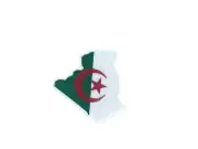 Embroidery patch sew badge iron on glue transfer algeria flag map