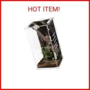 winemana Small Reptile Jumping Spider Terrarium Enclosure, 4" x 4" x 8" Acrylic