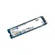 Kingston 250GB NV2 M.2 2280 PCIe 4.0 NVMe SSD SSD固態硬碟 SNV2S/250G