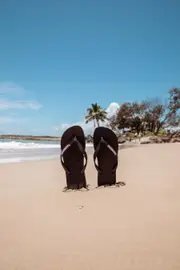 [Havaianas] Havaianas Men's Logo Flip Flops Slippers in Black/White Size 37/38 37/38 Black/White