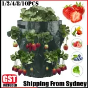 3 Gallon Hanging Strong Grow Yard Strawberry Planter Outdoor Garden Compost Bags