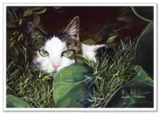 Black-white cat Kitten lurking in the grass ART Lucie Russia NEW modern postcard