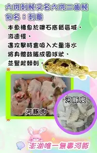 在飛比找Yahoo!奇摩拍賣優惠-【千源品鮮屋】澎湖刺豚皮 刺歸皮 河豚皮 六斑刺河豚皮 真空