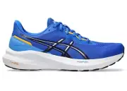 Asics Gel GT 1000 13 Mens Running Shoes (2E Wide) (404)