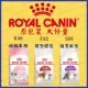 現貨秒出|法國皇家| ROYAL CANIN |原裝大份量飼料|K36|F32|S33|幼母貓|理想體態|腸胃敏感|翔帥(2520元)