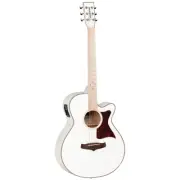 Tanglewood TW4BLW Winterleaf Blonde Superfolk C/E White Gloss
