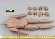 Body & Hands for HHMODEL HAOYUTOYS HH18051 Thirteen Legion Centurion 1/6 Scale