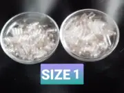 150 PRE-SEPARATED EMPTY CAPSULES - The vegan empty capsules size 1