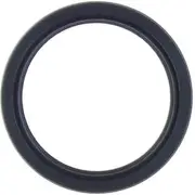 Oil Seal OSS0485