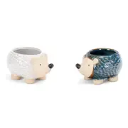 Echidna Planter Pot - Alfresco Gardenware in Blue, White