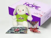 HOPE Rabbit Gift Box - HOPE Bunny Rabbit and Origami CRANE Kit Gift Set - Give T