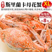 在飛比找PChome24h購物優惠-【海肉管家】斯里蘭卡XL母花蟹(共8隻_200-250g/隻