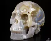 Gemstone Geode 5.0" Sakura Agate Carved Crystal Skull, Realistic, Healing