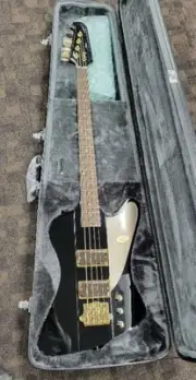 Large Epiphone Thunderbird Rex Brown Model Safe delivery from Japan