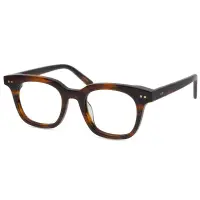 在飛比找蝦皮商城精選優惠-網紅女眼鏡框大框眼鏡架透明色眼鏡框復古超大鏡框多邊形眼鏡批發