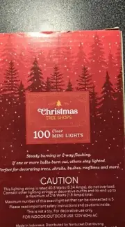 100ct Green Cord, Mini Clear Lights, (Indoor/Outdoor) - Christmas Tree Shops