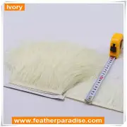 Ivory Ostrich Feather Trims Fringes Tapes Sewn on Feather 1 Yard
