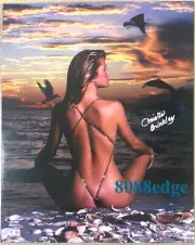 "CHRISTIE BRINKLEY" SIGNED 16x20 PHOTO AUTO BECKETT AUTHENTICATED AUTOGRAPH SEXY