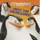 Meet the Penguins!