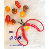 在飛比找蝦皮購物優惠-【黑棗小舖】ARS 採收鋏 410 柑剪刀(大曲) 採收剪刀