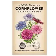 The Little Veggie Patch Co Cornflower Heirloom Seeds