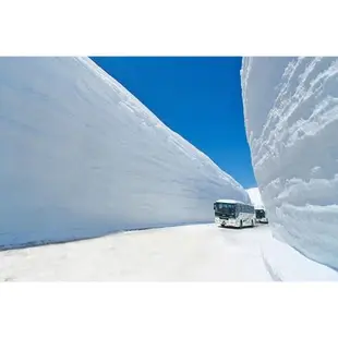 期間限定~| 黑部立山雪壁五日(大阪進出)【找到了旅遊】