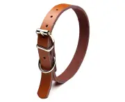 PET Waterproof DogCollar Replacement Strap for Shock Collar and Fence Easy Clean Odorless Dog Collar-Brown M - Brown