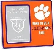 Clemson Youth Frame