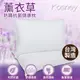 KOSNEY 超彈性 頂級薰衣草枕(1入)台灣製造