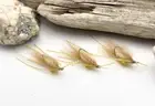 Ascension Bay Squimp Size 4 or 6 (3 Flies) - Gamakatsu Hooks!