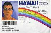WYFGL 3×5 FT McLovin Fake ID Flag Driver License Flag with 4 Brass Grommets 100D Double Stitched Funny Banner Decor for Dorm College
