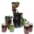 Premium Multifunctional Masticating Whole Cold Press Slow Juice Extractor