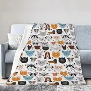 Jbyjbx Cartoon Cat and Dog Print Warm Ultra-Soft Micro Blanket All Season Couch Sofa Bed Throw Blanket 40"X30"Inch