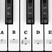 MUYOS Piano Keyboard Stickers for 54/61/88 Keys – Transparent & Removable Piano Keyboard Note Stickers and Piano Key Labels for Kids and Beginners (Black)