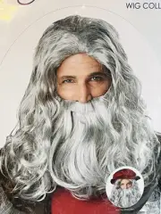 Gray Long Hair Wig & Beard Costume Halloween Zeus God Wizard Renaissance Man NIP
