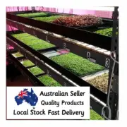 1020 Shallow Tray w/ Holes Microgreen Propagation Seed Plant Germination Strong