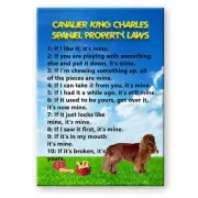 CAVALIER KING CHARLES SPANIEL Property Laws FRIDGE MAGNET No 4