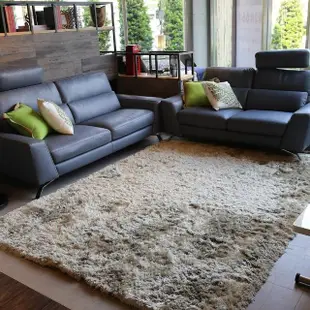 【Fuwaly】艾森斯-灰地毯-200x290cm(簡約 素色 長毛 大地毯 客廳地毯 起居室地毯)