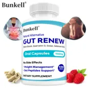 Gut Health Supplements - Boost Immunity And Gut Balance, Improve Digestion