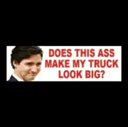 DOES THIS ASS MAKE MY TRUCK LOOK BIG? Anti Justin Trudeau STICKER Freedom Convoy