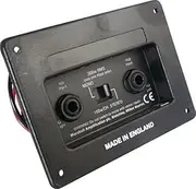 Jack plate - Genuine Marshall, Switchable Stereo/Mono