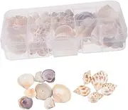 SMASOLO Natural Conch Decor for DIY Crafts Shells for Bracelets Necklaces and Aquarium Landscaping Unique Beach Shells for Creative Projects