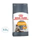 ROYAL CANIN 法國皇家 亮毛護膚成貓專用飼料 HS33