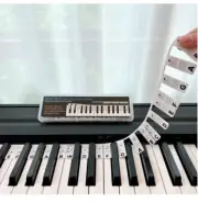 BEATBIT Piano Notes Guide for Beginner, Removable Keyboard Note Classic Black