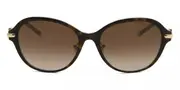 Tiffany & Co. TF4188D Asian Fit 81343B Women’s Sunglasses Tortoiseshell Size 55