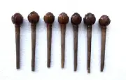 Main Khunti Peg for Sitar full set of 7 Gulab Rose design